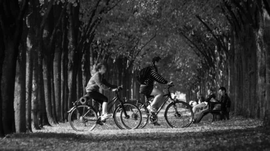 Zwei Menschen auf Fahrrad fahren über Allee
