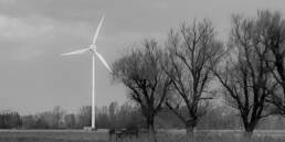 Windkraftwerk auf Feld vor drei Bäumen