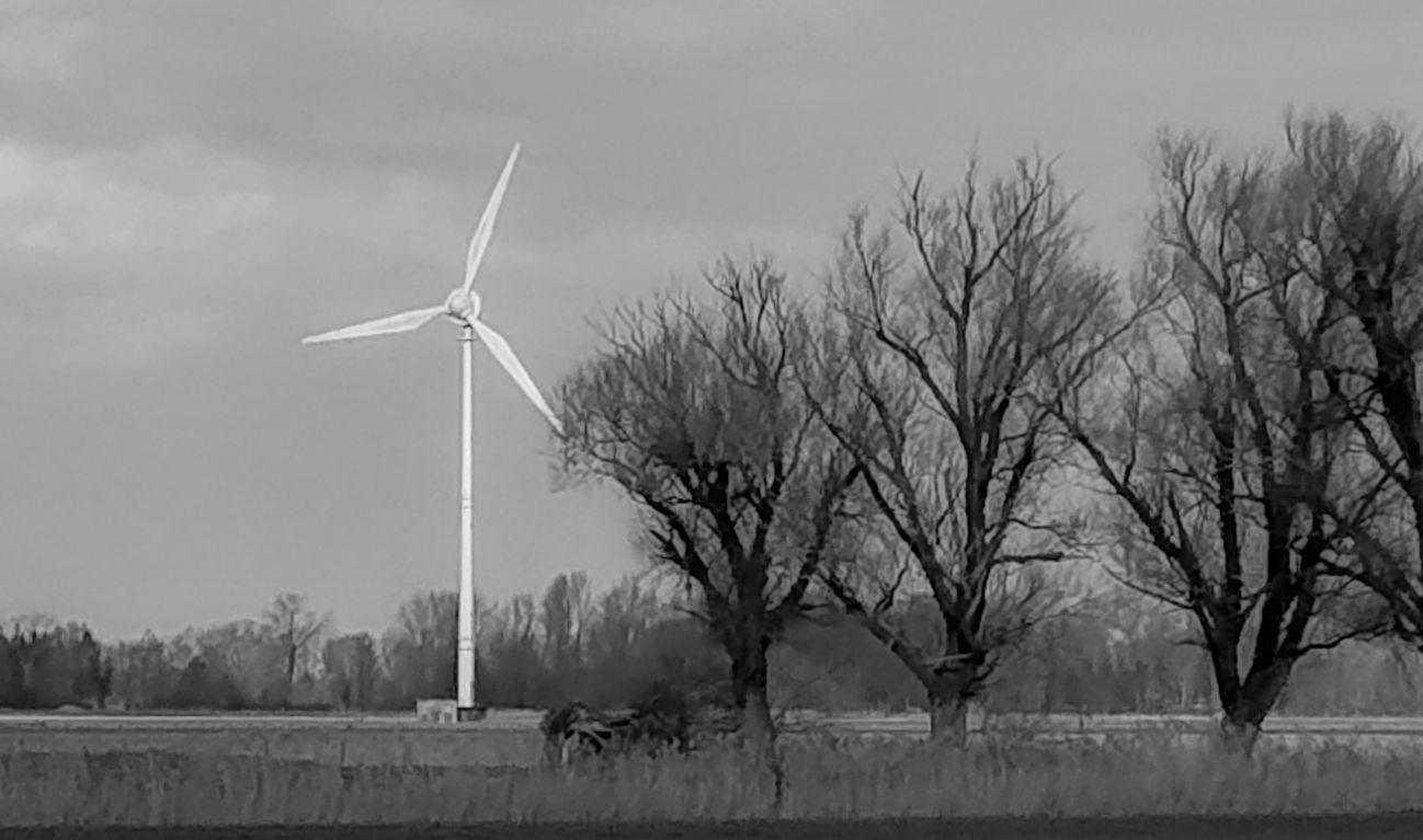 Windkraftwerk auf Feld vor drei Bäumen