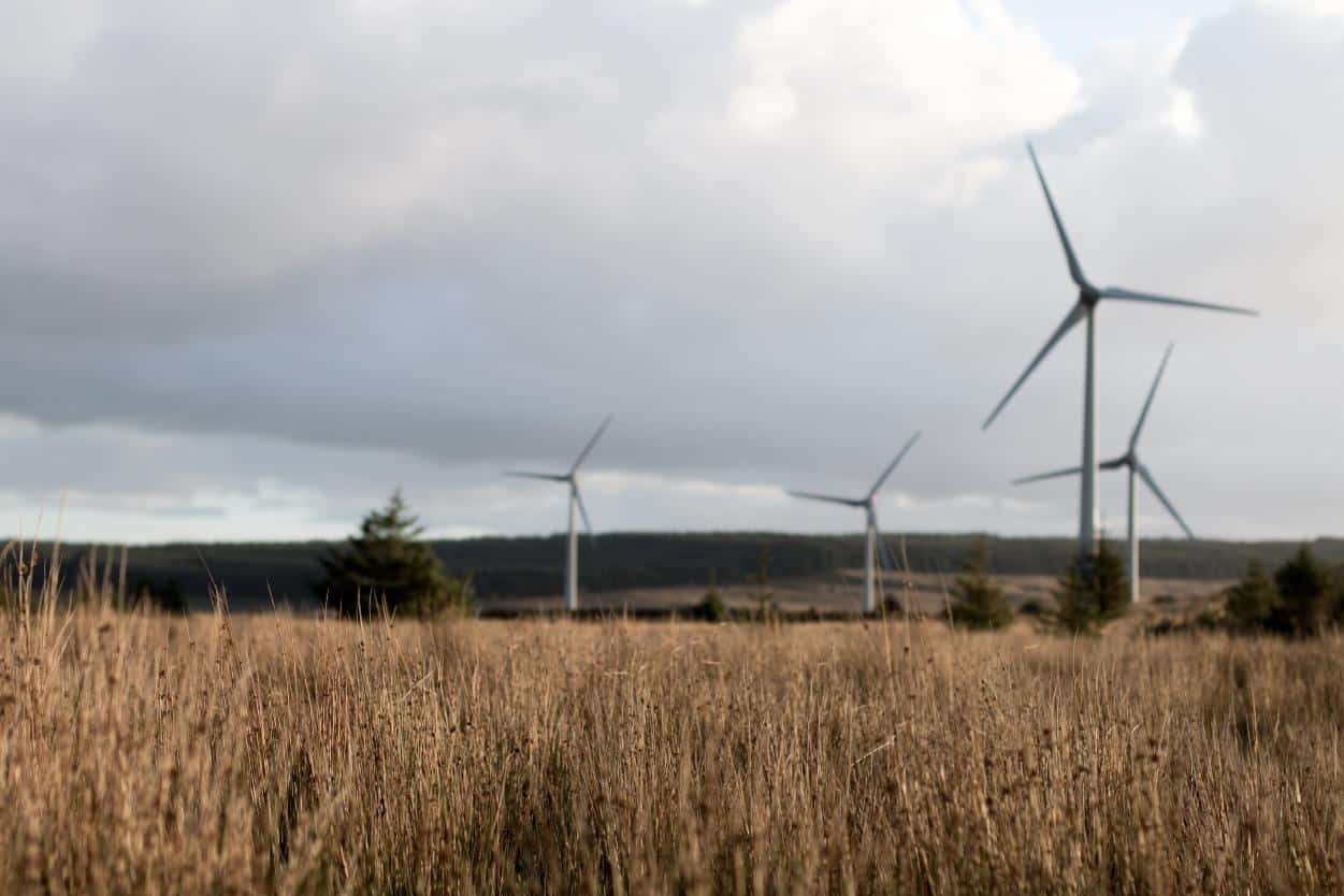 Windkraftanlage auf Weizenfeld
