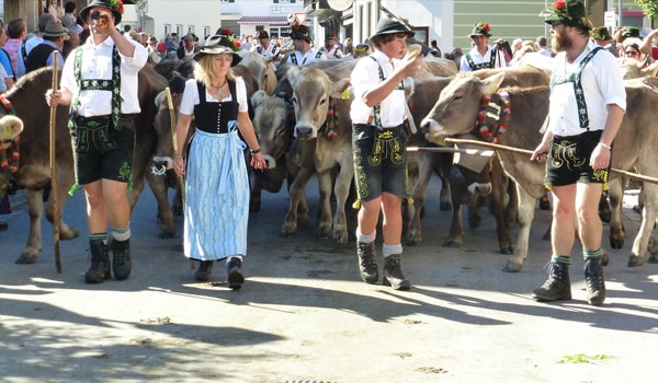 vier Personen in traditioneller bayrischer Tracht mit Kühen